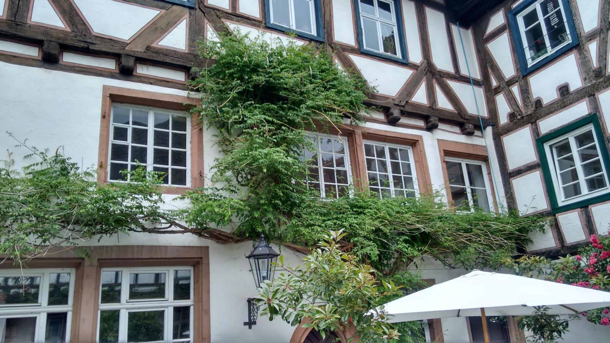 Historischer Adelshof Am Marktplatz, Atelier 70 M² Weinheim Exteriör bild